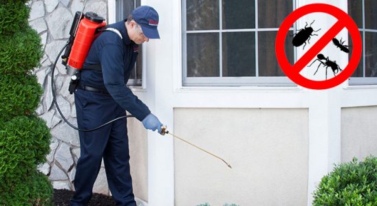 Kırıkkale Böcek ve Haşere İlaçlama böcek ilaçlama ve haşere kontrolü — ilaclama-tr.com
